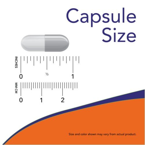 L-Carnosine NOW Foods NOW Foods, L-Carnosine Capsule