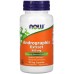NOW Foods Andrographis Extract 400mg