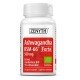 Zenyth, Ashwagandha KSM-66 Forte 500mg - 60 Capsule vegetale