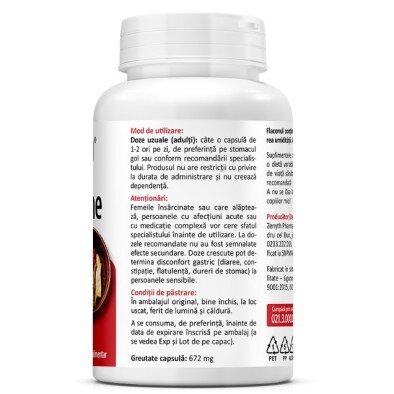 Berberine 500mg - 60 Capsule vegetale